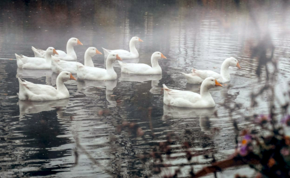 Последняя пятница осени: почему 28 ноября нельзя стричься и начинать важные дела — что можно, а что нет Последняя пятница осени: почему 28 ноября нельзя стричься и начинать важные дела — что можно, а что нет