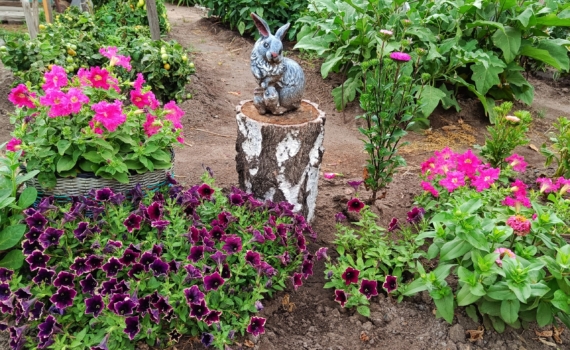 Ваш сад начнет цвести в мае — если вы посеете эти цветы уже сейчас: что нужно сеять зимой Ваш сад начнет цвести в мае — если вы посеете эти цветы уже сейчас: что нужно сеять зимой