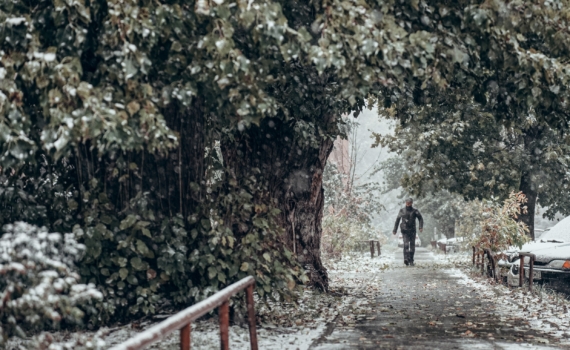 20 декабря 2025 — отмечаем День солидарности людей, поздравляем риелторов, именинников и не только 20 декабря 2025 — отмечаем День солидарности людей, поздравляем риелторов, именинников и не только